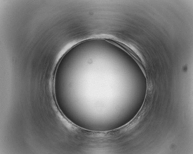 X0000091301054200708101044