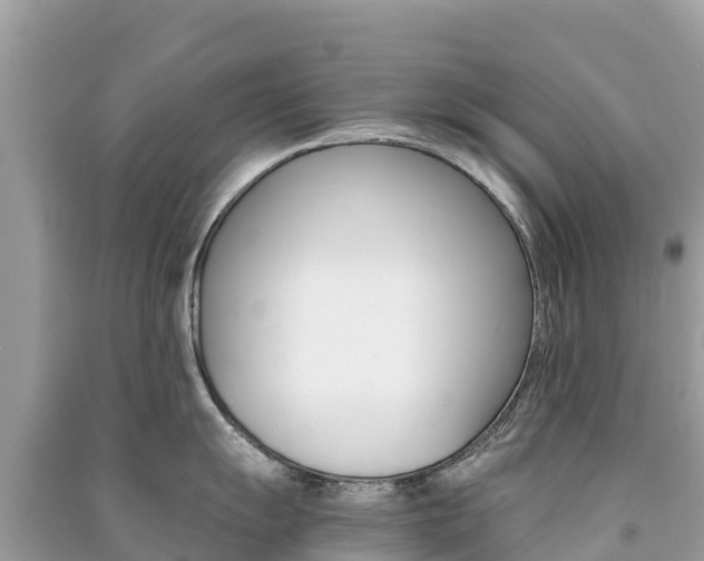 X0000091301055200708101044
