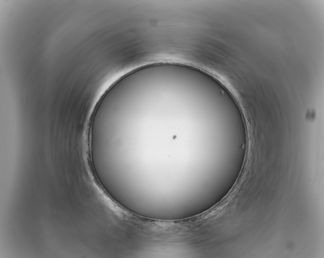 X0000091301056200708101044