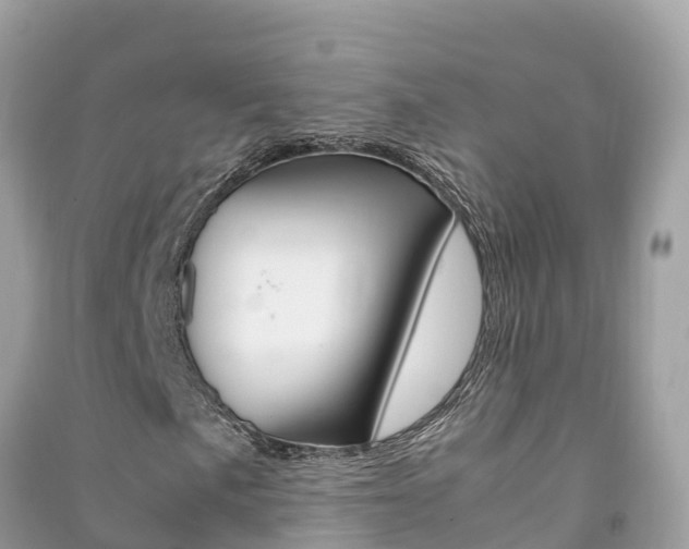 X0000091301057200708101043