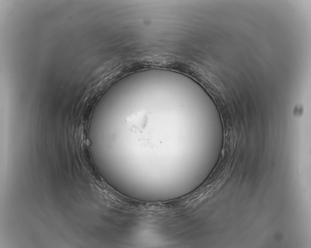 X0000091301058200708101043