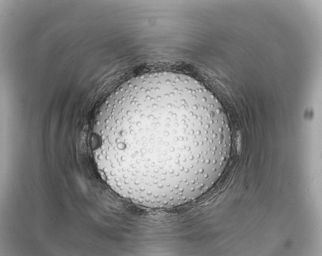 X0000091301059200708101043