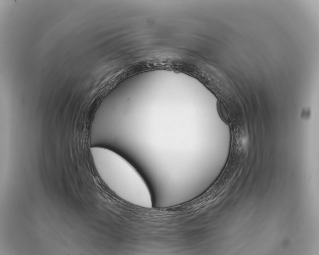 X0000091301060200708101043