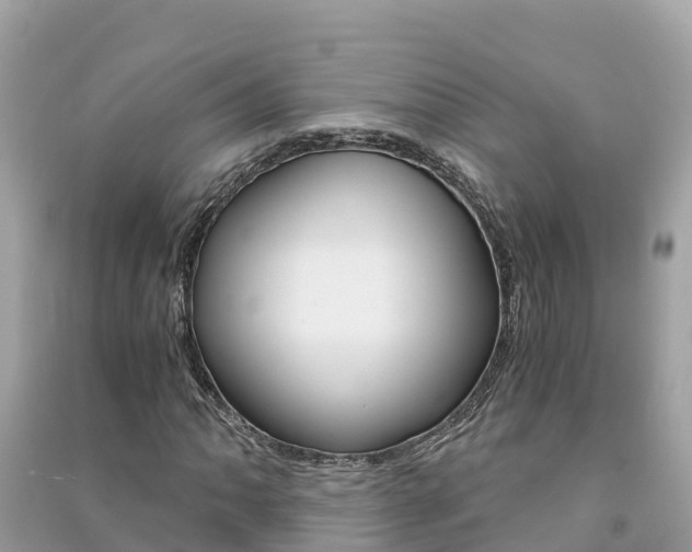 X0000091301062200708101043