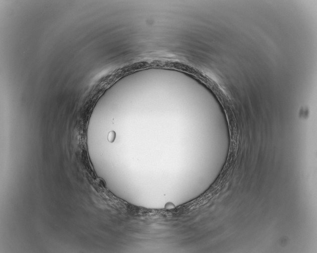 X0000091301063200708101043