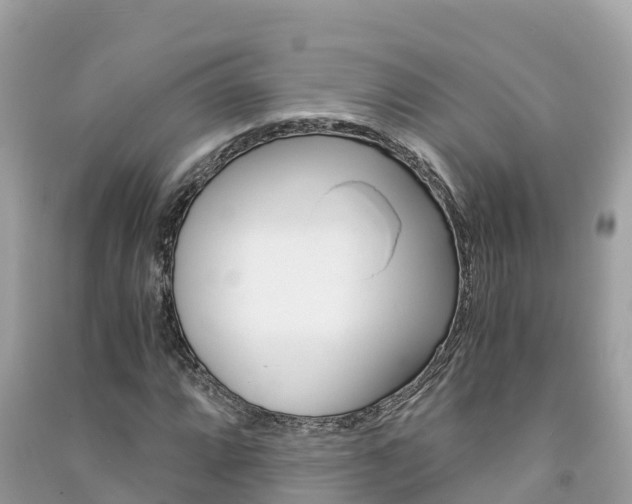 X0000091301064200708101043