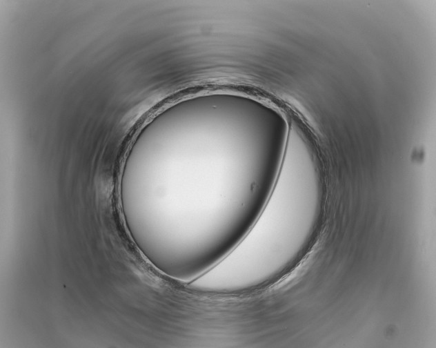 X0000091301065200708101043