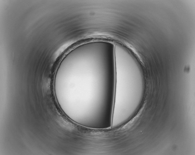 X0000091301066200708101043