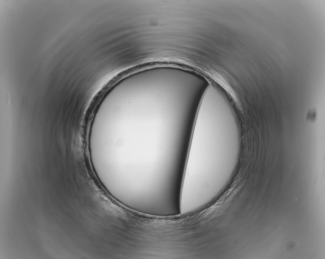 X0000091301068200708101043