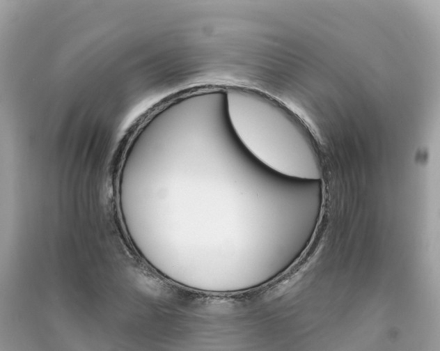 X0000091301070200708101043