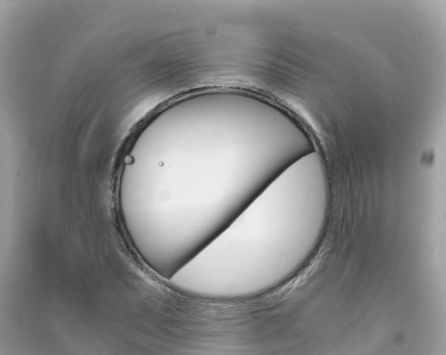 X0000091301071200708101043