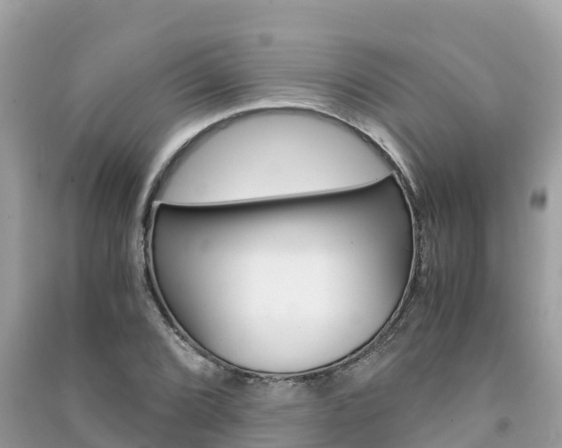 X0000091301072200708101043