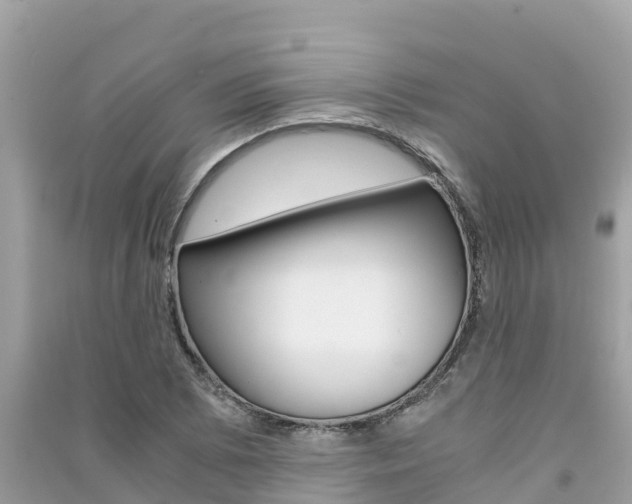 X0000091301073200708101043