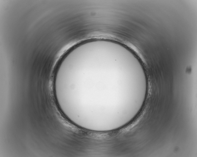 X0000091301074200708101043