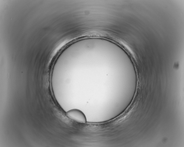 X0000091301075200708101043