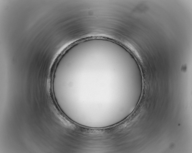 X0000091301076200708101043