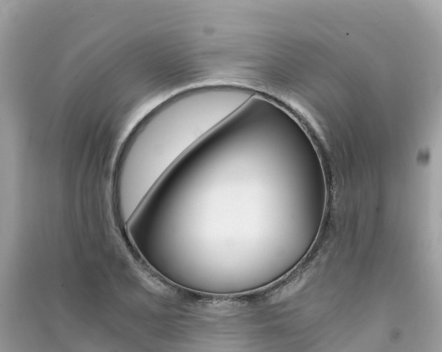 X0000091301077200708101043