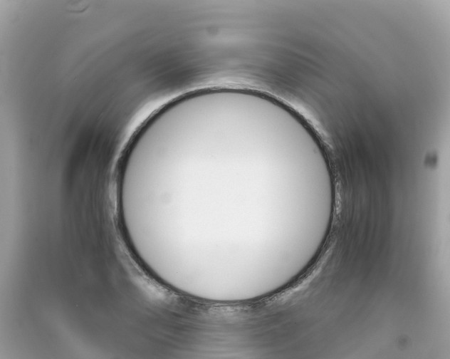 X0000091301078200708101043