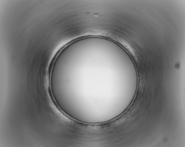 X0000091301080200708101043