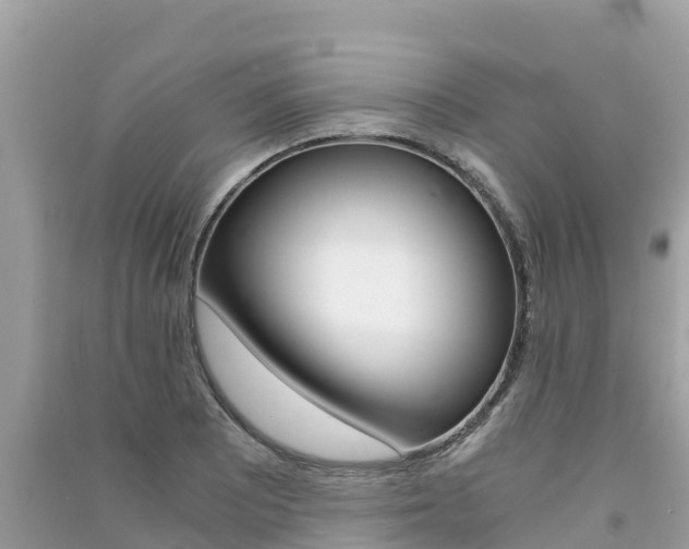 X0000091301081200708101043