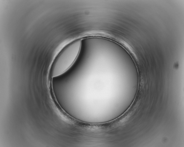 X0000091301082200708101043