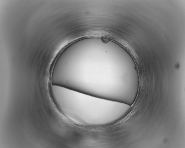 X0000091301083200708101043