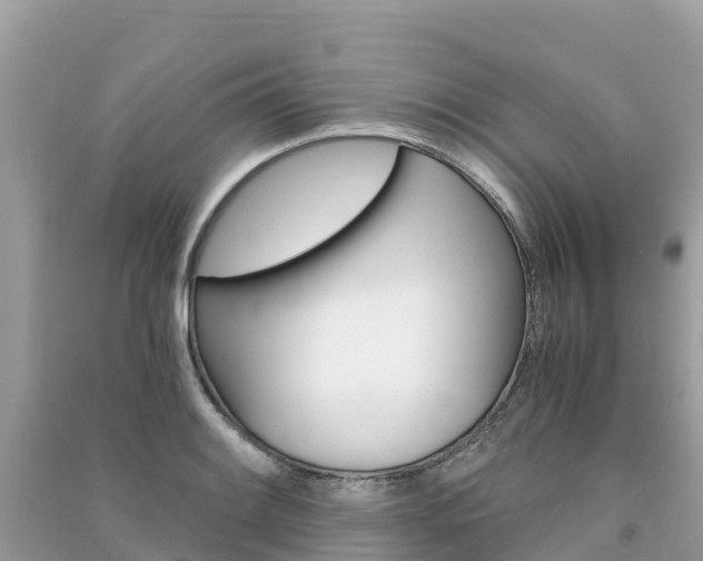 X0000091301084200708101043
