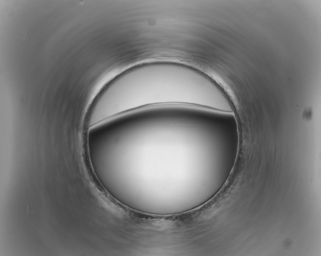 X0000091301085200708101043