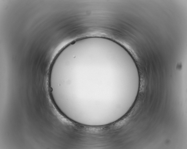 X0000091301086200708101043