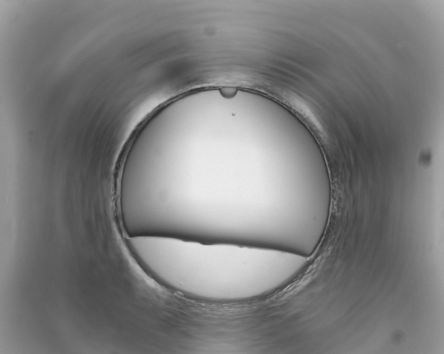 X0000091301087200708101043