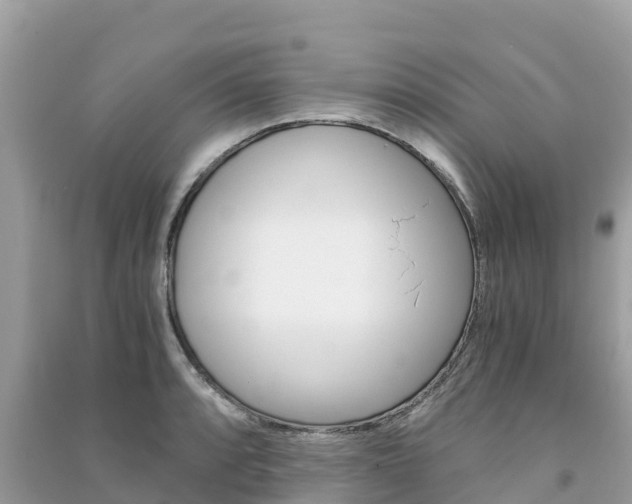 X0000091301088200708101043