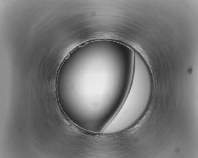 X0000091301089200708101043