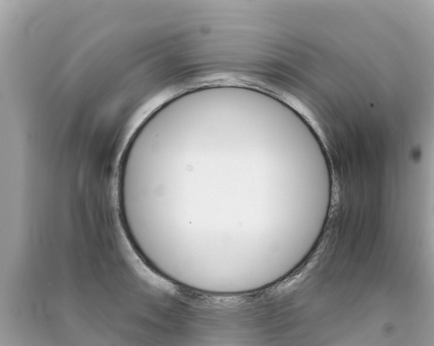 X0000091301090200708101043