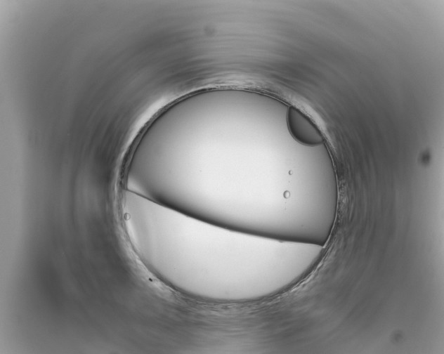 X0000091301091200708101043