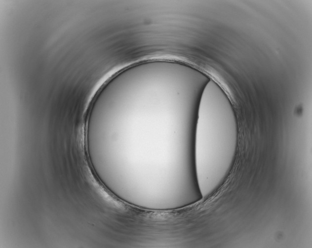 X0000091301092200708101043