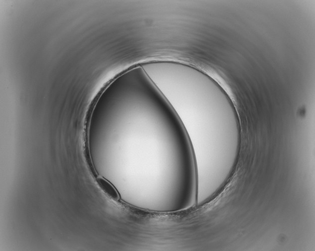 X0000091301093200708101043