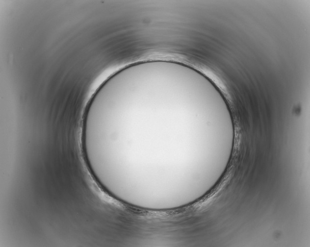 X0000091301094200708101043