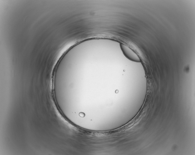 X0000091301095200708101042