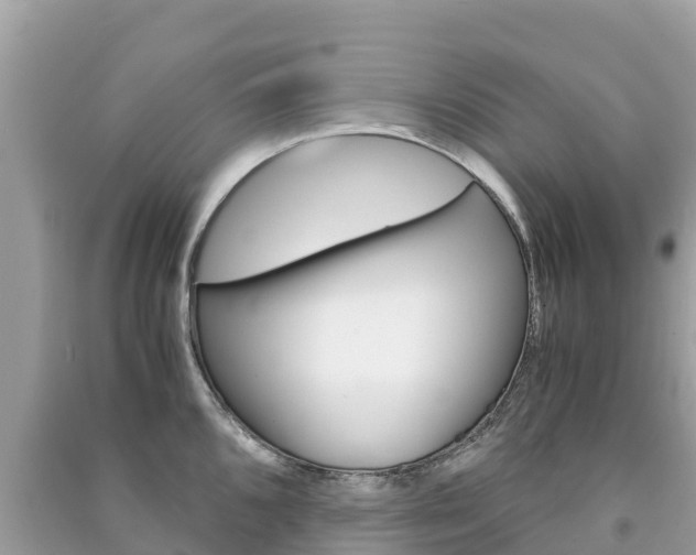X0000091301096200708101042