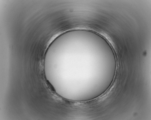 X0000091301097200708101042