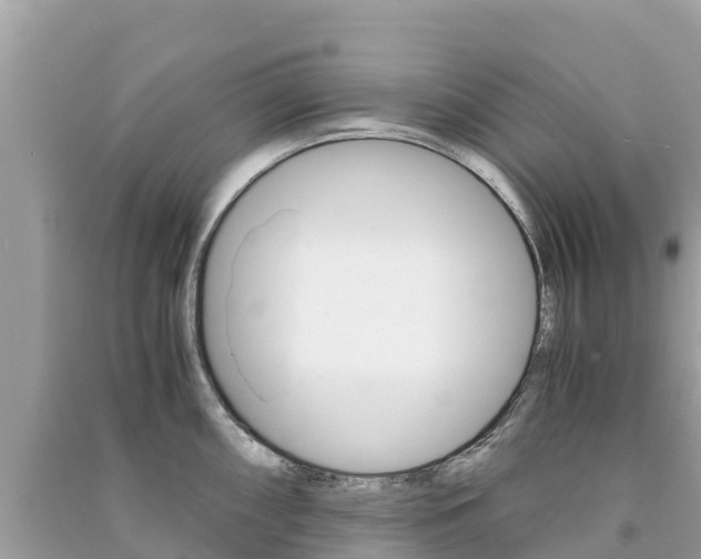 X0000091301098200708101042