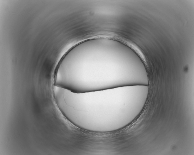 X0000091301099200708101042