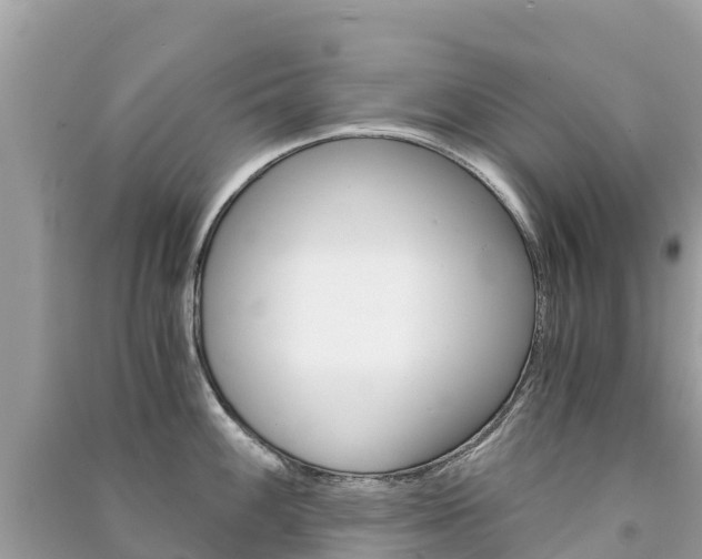 X0000091301100200708101042