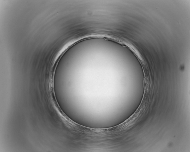 X0000091301101200708101042