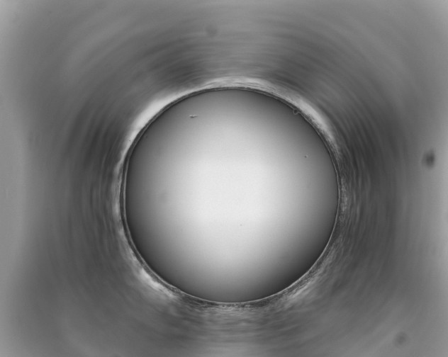 X0000091301102200708101042