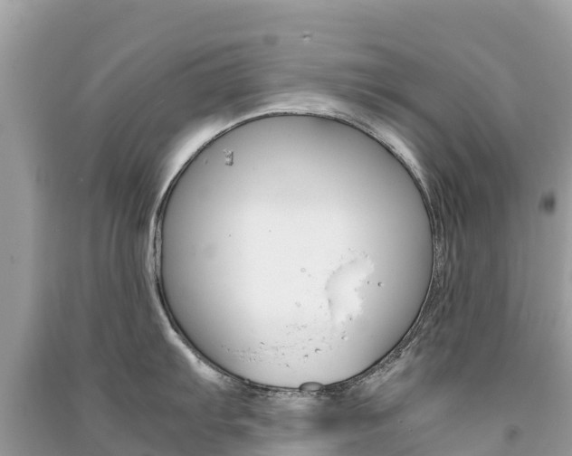 X0000091301103200708101042