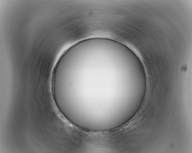 X0000091301104200708101042