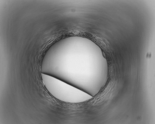 X0000091301105200708101041
