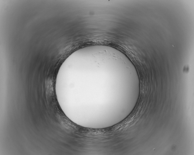 X0000091301106200708101041