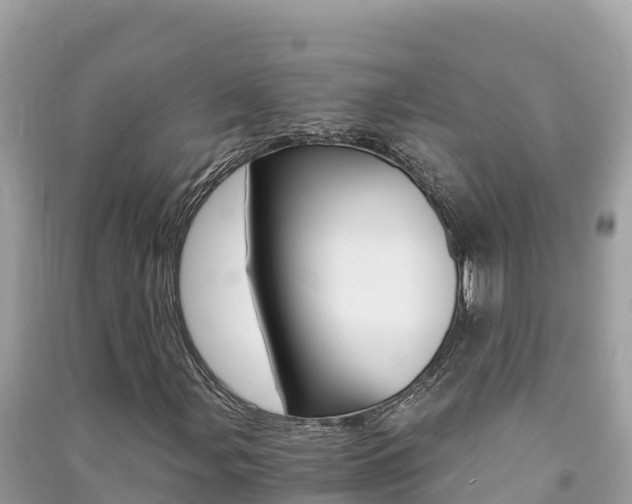 X0000091301107200708101041